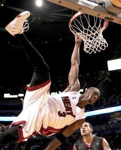 码的真实金 码的真实金