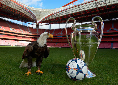 四保一惧怕 四保一惧怕